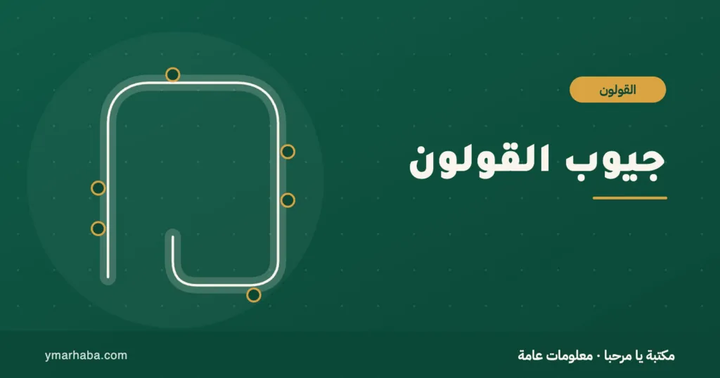 غلاف تعريفي لمقال: جيوب القولون: الفرق بين الجيوب والتهابها، والغذاء، ومتى تُطرح الجراحة
