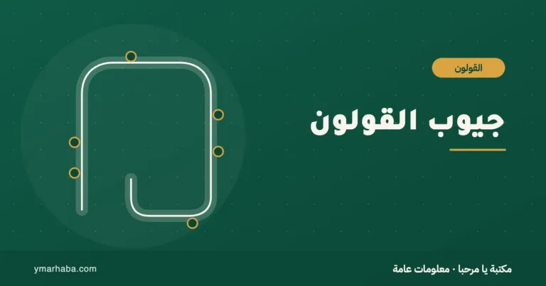 غلاف تعريفي لمقال: جيوب القولون: الفرق بين الجيوب والتهابها، والغذاء، ومتى تُطرح الجراحة